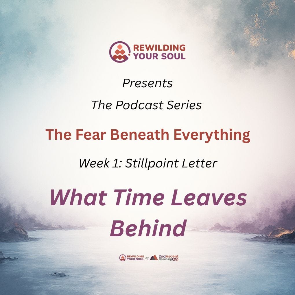 Rewilding Your Soul Podcast