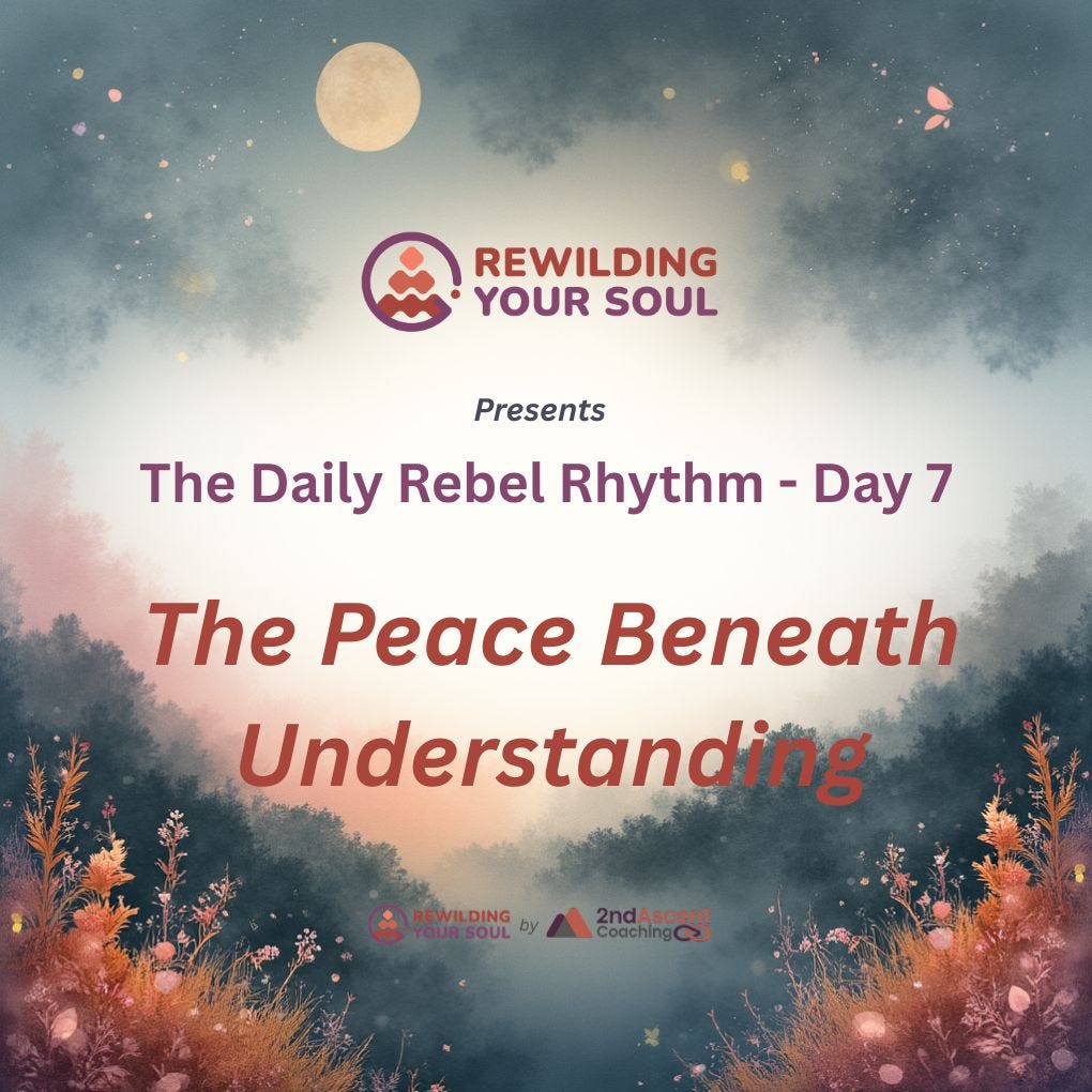 Rewilding Your Soul Podcast