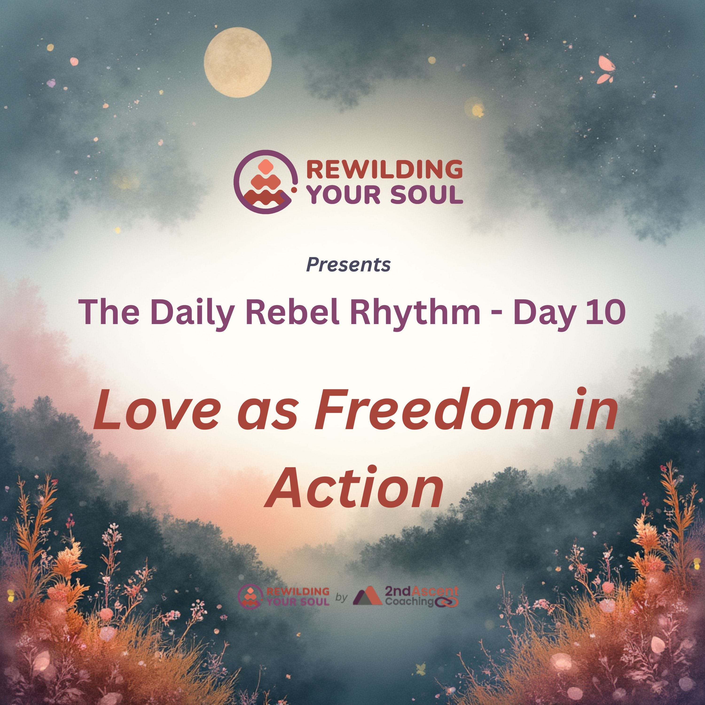 Rewilding Your Soul Podcast