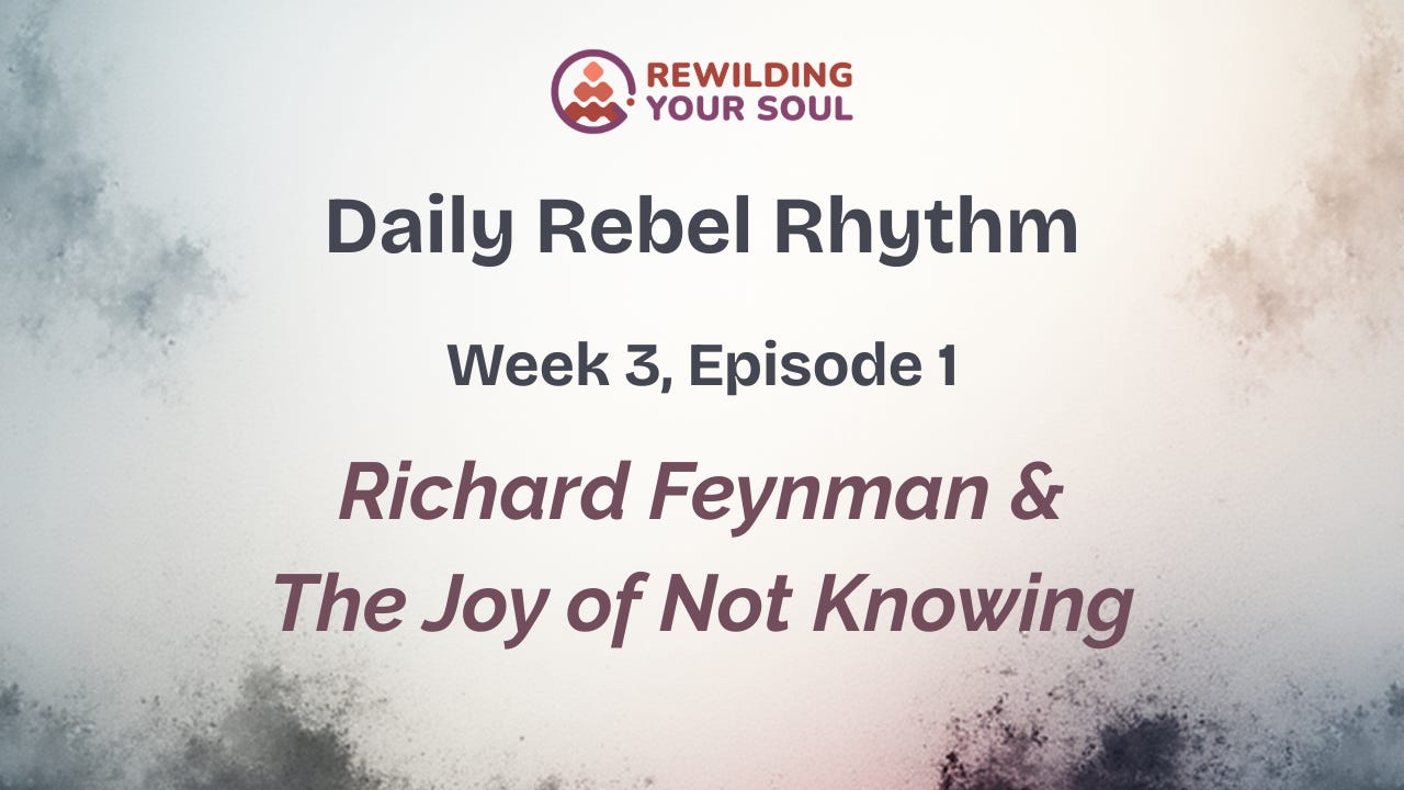 Rewilding Your Soul Podcast