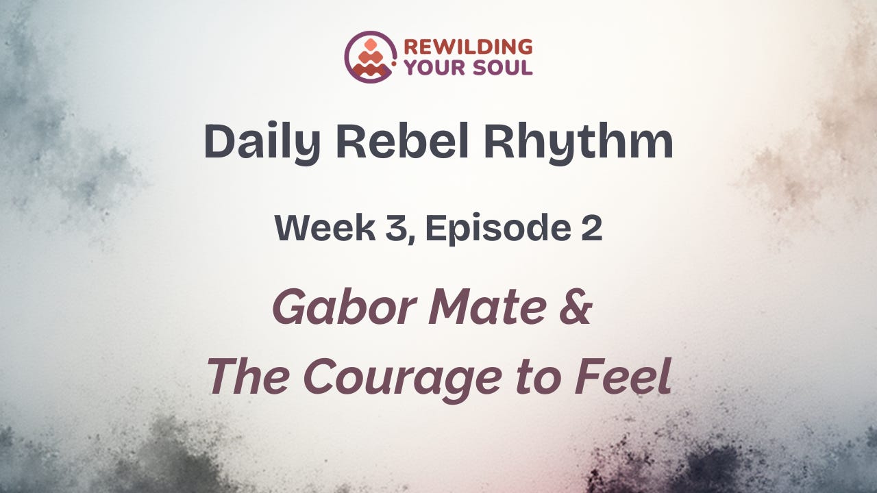 Rewilding Your Soul Podcast