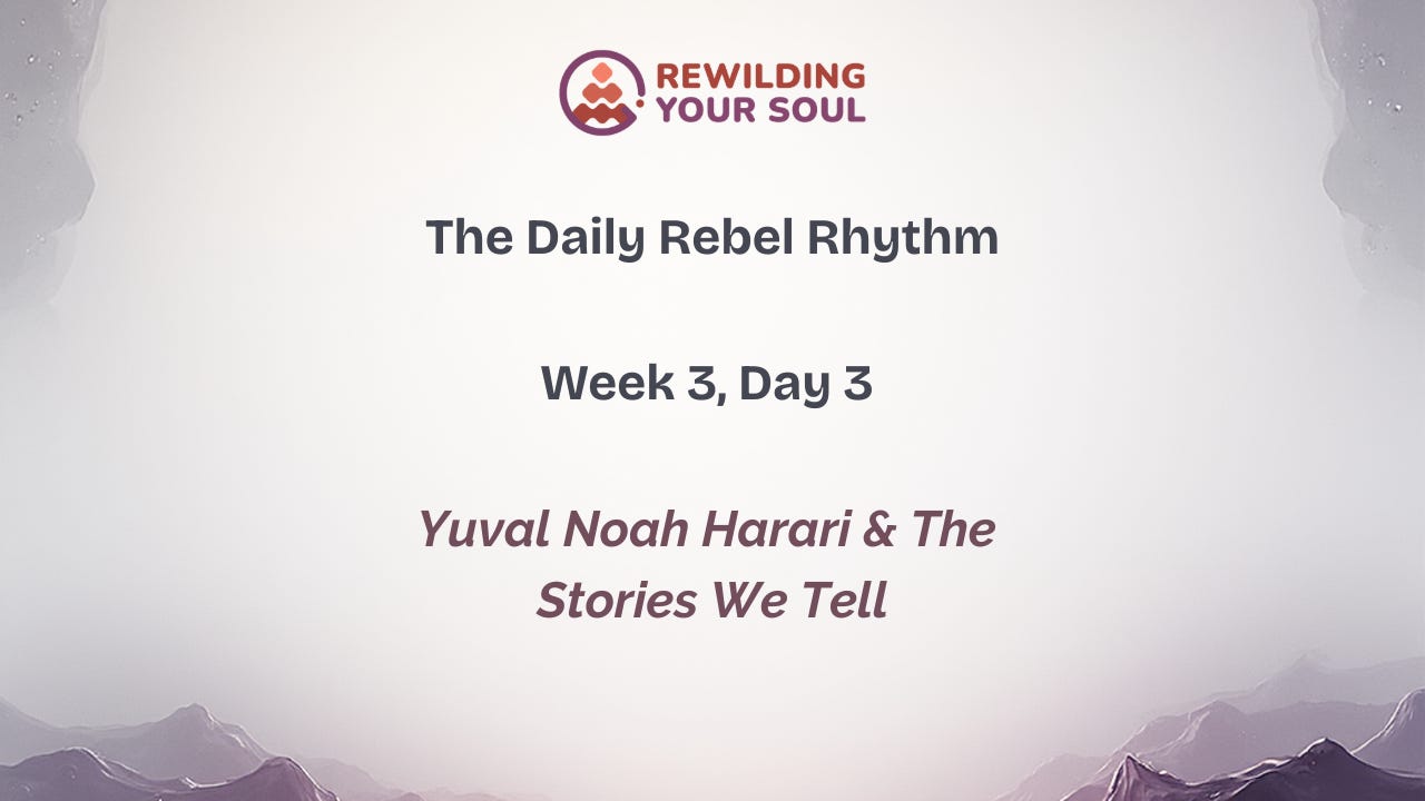 Rewilding Your Soul Podcast