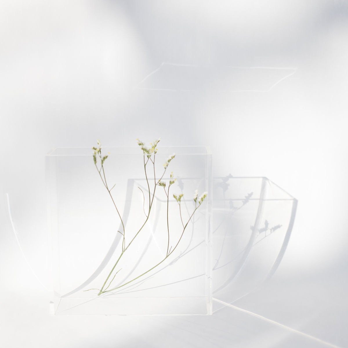 Black and White and Gold