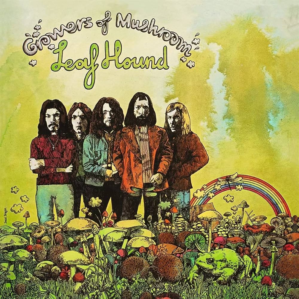 46% of Our Community Voted for This Leafhound Album—Here’s Why They Were Right