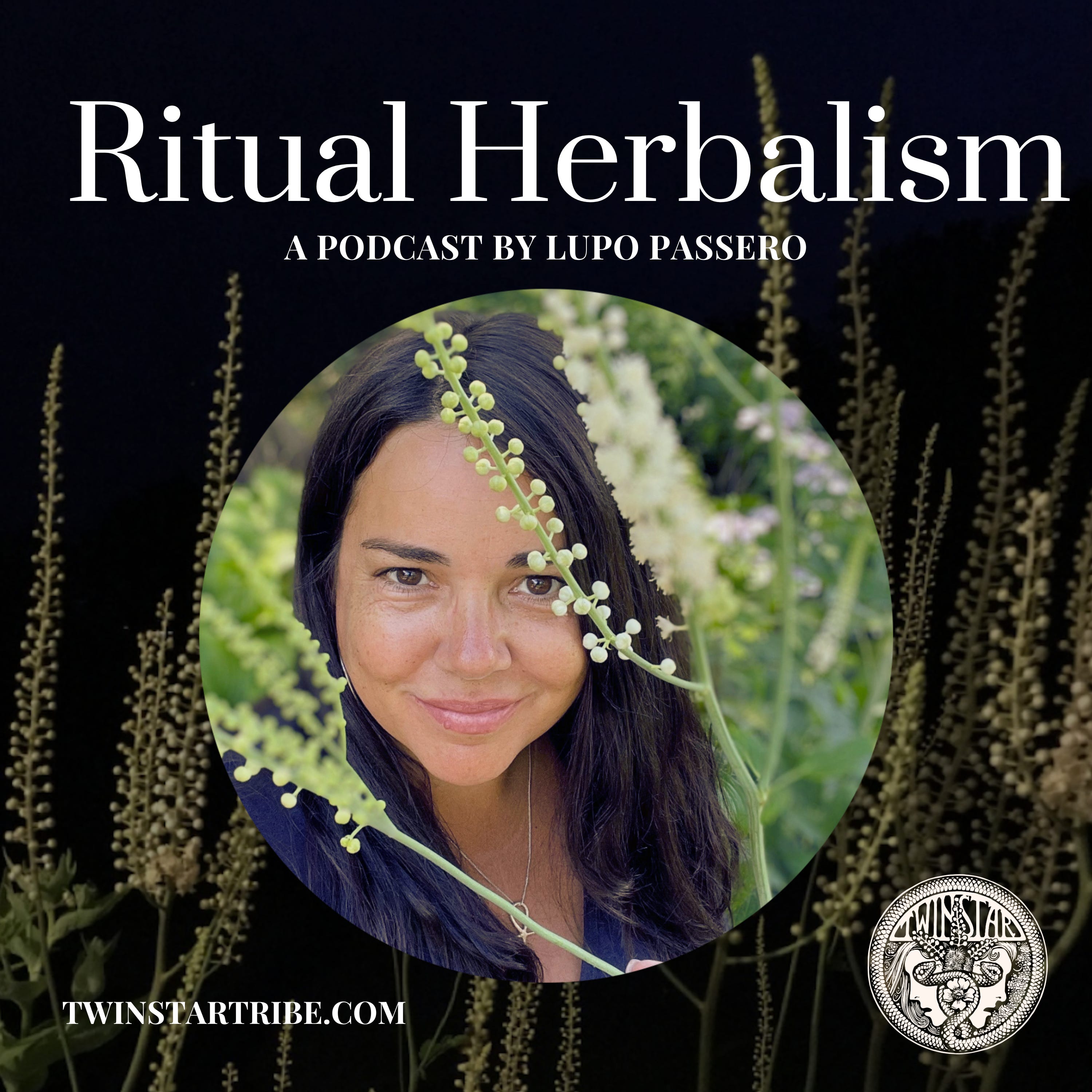 Episode 03: Lionheart, Hawthorn & Rose: How the Wound Becomes the Way