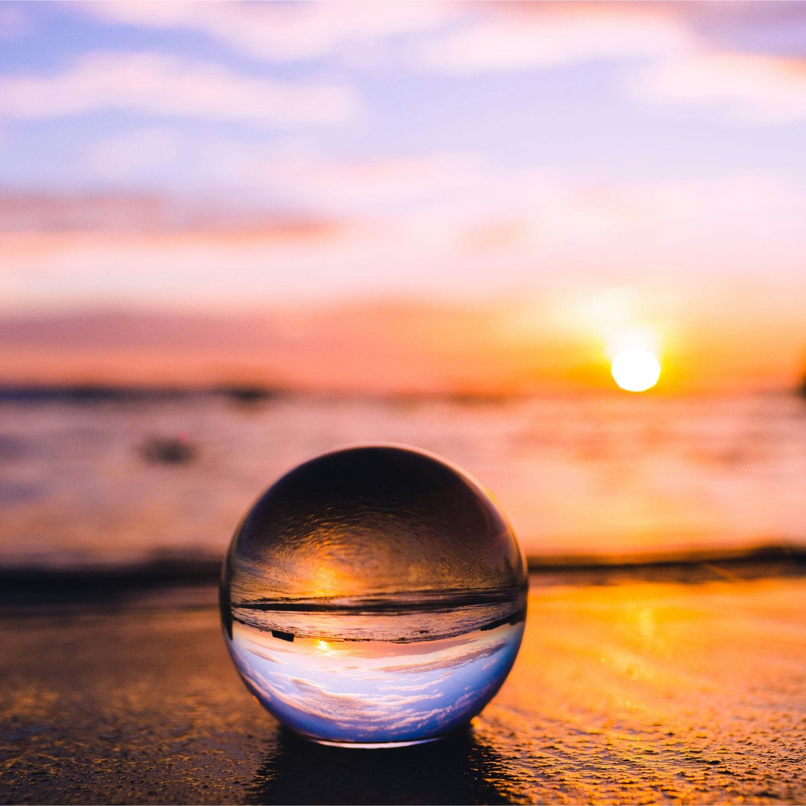 Musings: Planting Kindness, Gathering Grace