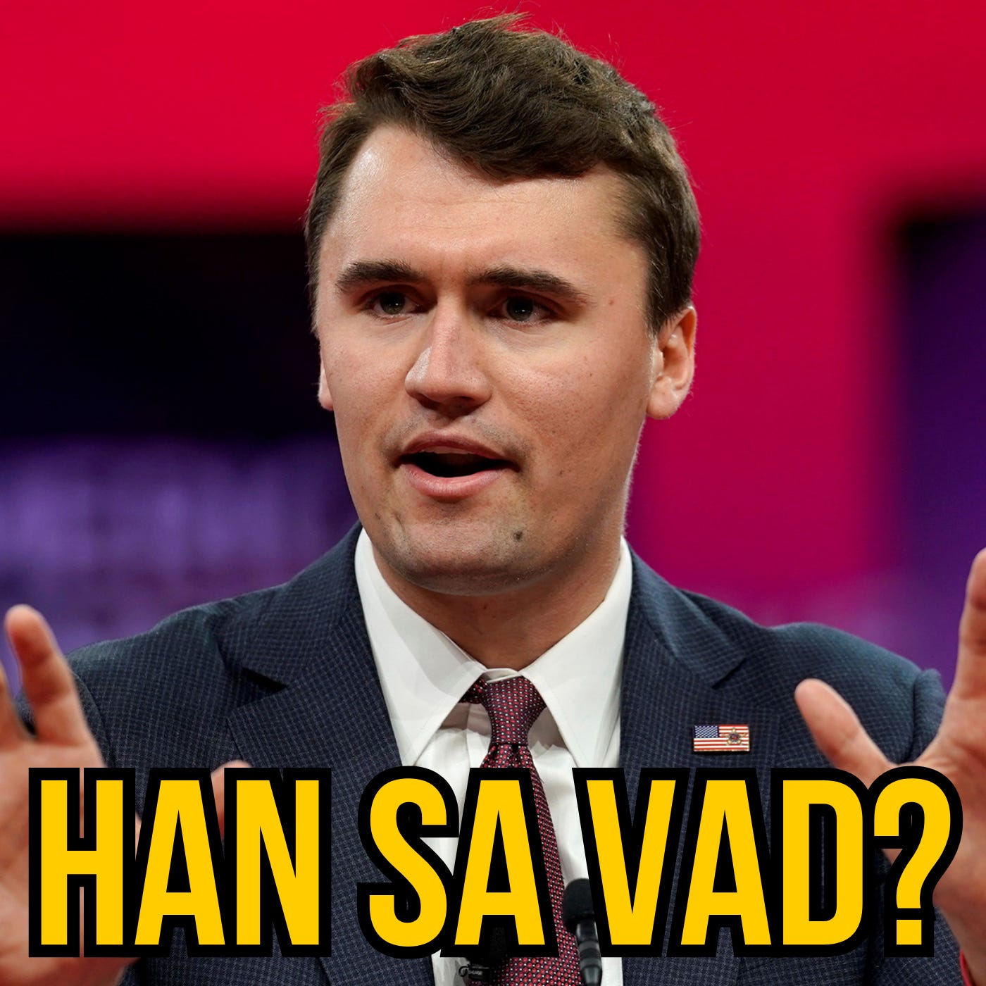 Hur dum i huvudet är Charlie Kirk? episode artwork