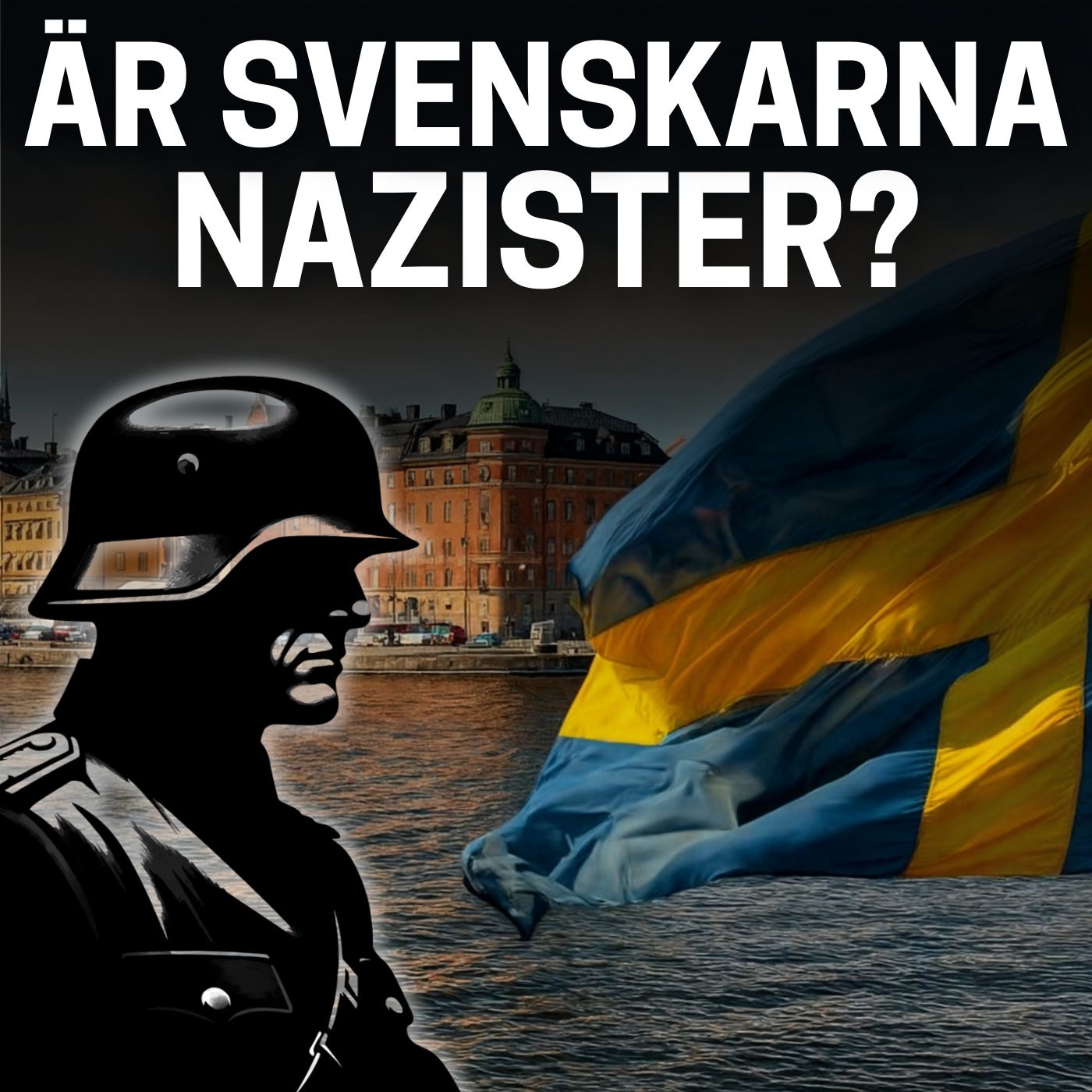 Har svenskarna blivit nazister? episode artwork