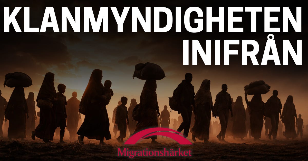Migrationsverket: Mer än 20 år av skandaler episode artwork