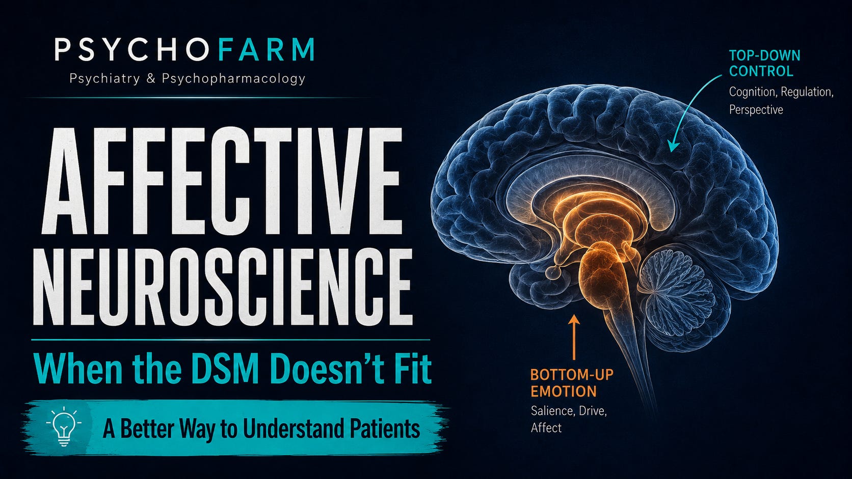 Affective Neuroscience: Understanding Patients Beyond DSM Diagnoses