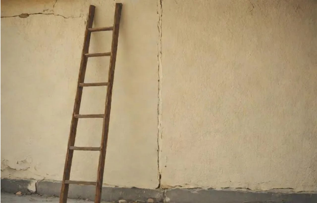 GLP-1 agonist weight loss drugs: Leaning the ladder against the wrong wall - podcast episode artwork