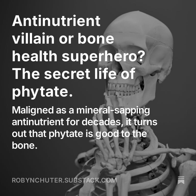 Antinutrient villain or bone health superhero? The secret life of phytate - podcast episode artwork