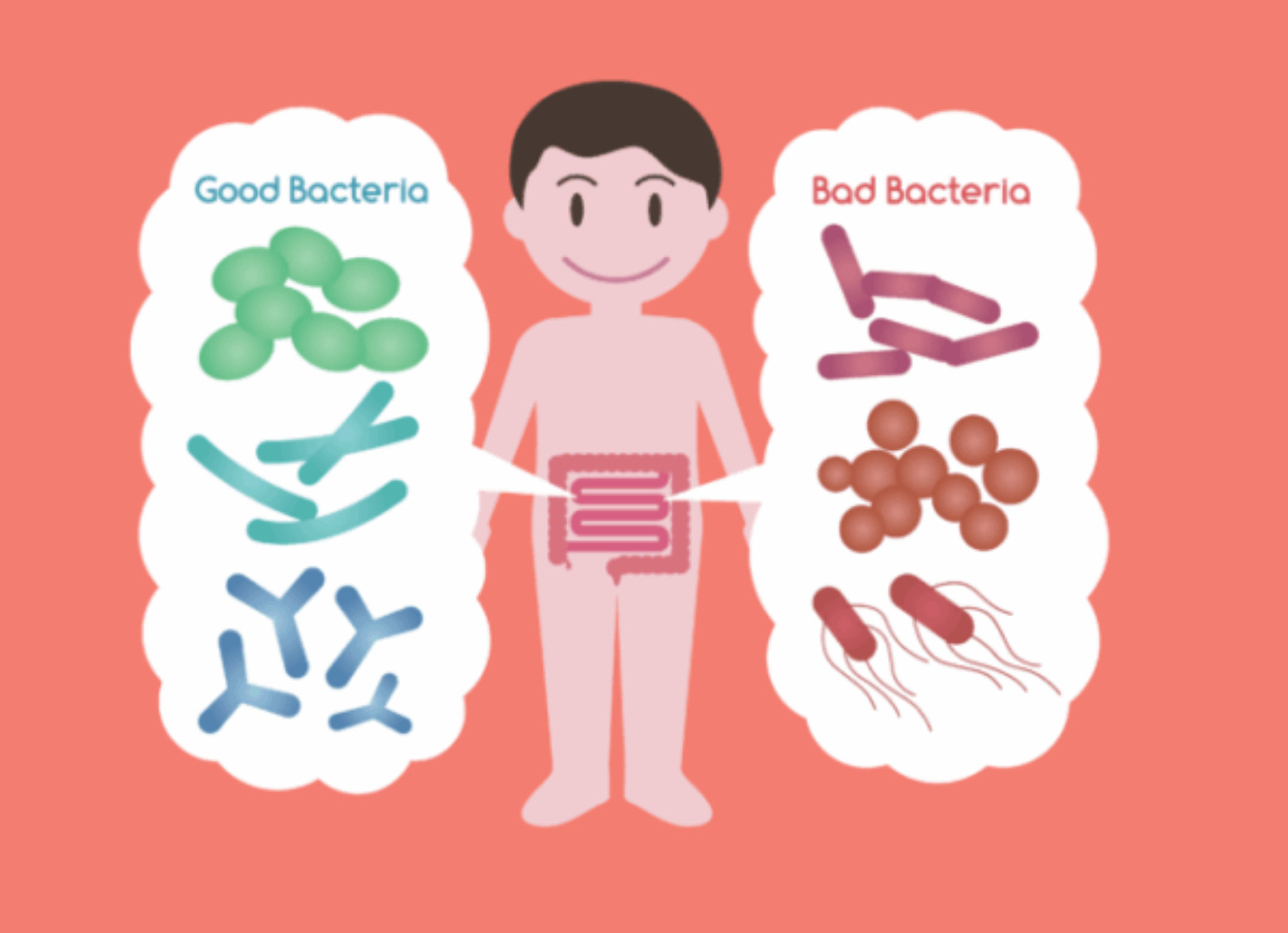 Gut bugs and human health: A tale of two evolutionary trajectories - podcast episode artwork