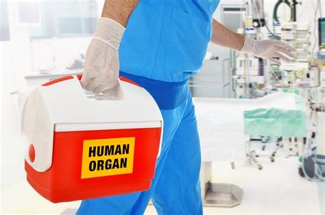 Queensland is still denying organ transplants to people who refuse a COVID-19 injection - podcast episode artwork