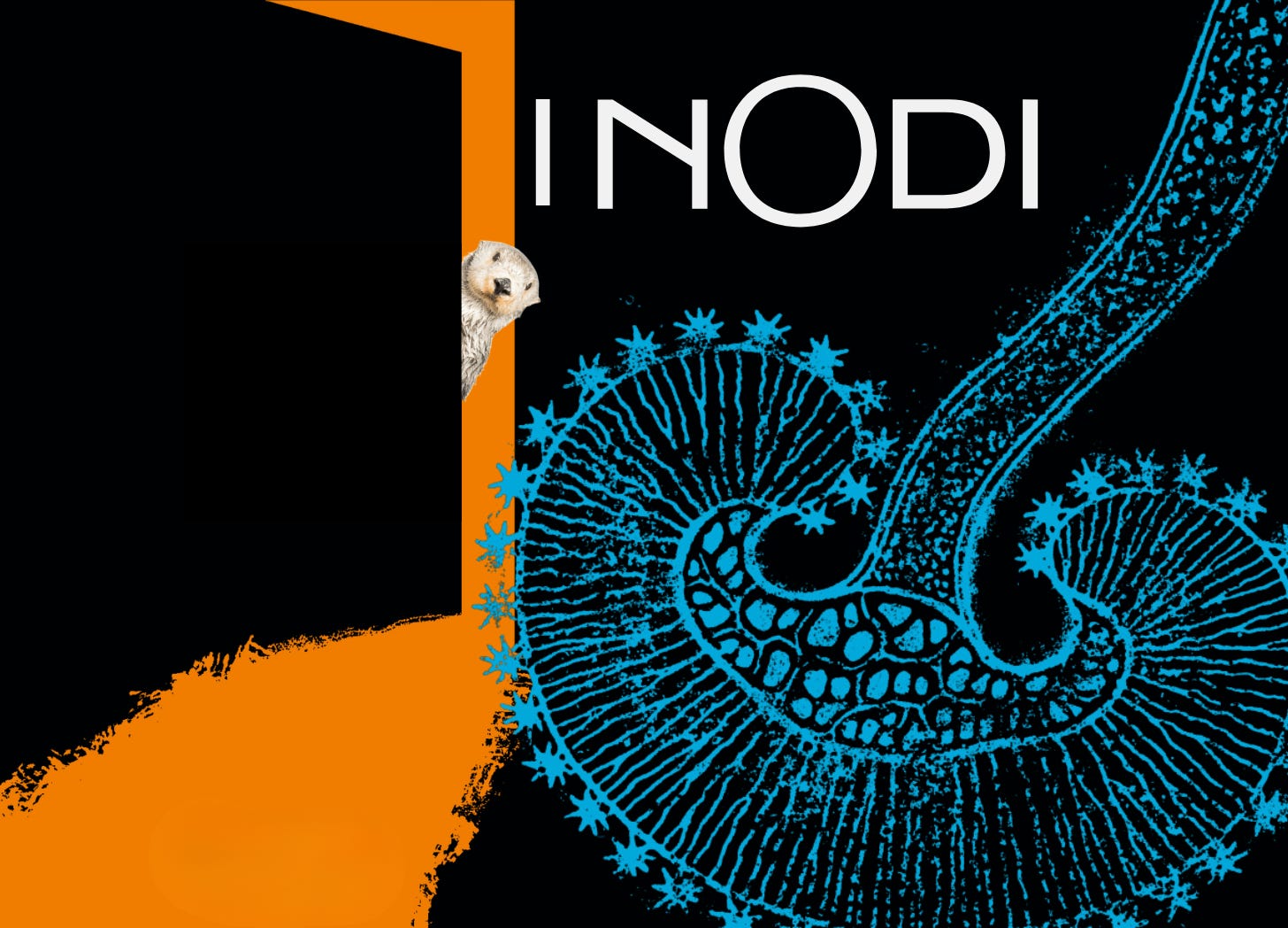 Reading Wildlife #91 - Tutte storie brevi: i nodi di Zona 42