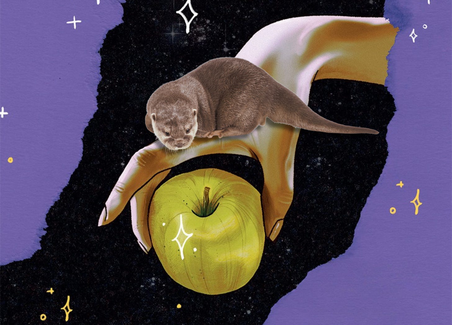 Reading Wildlife #92 - Team Twilight Forever con Paola Zanghì e Licia Cascione