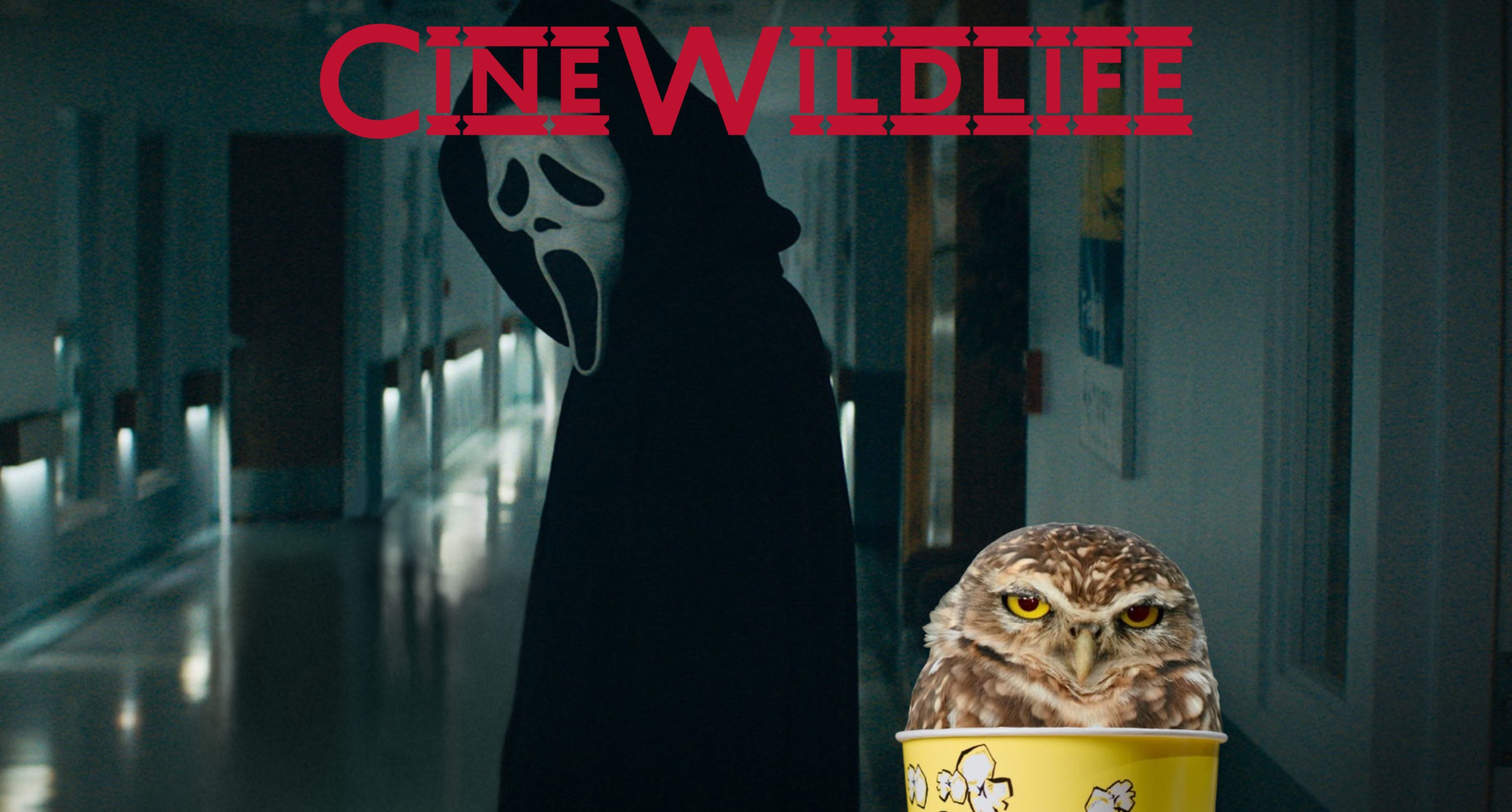 Cine Wildlife - Sangue, urla e maschere: l’evoluzione degli Slasher Movie da Halloween a Scream episode artwork