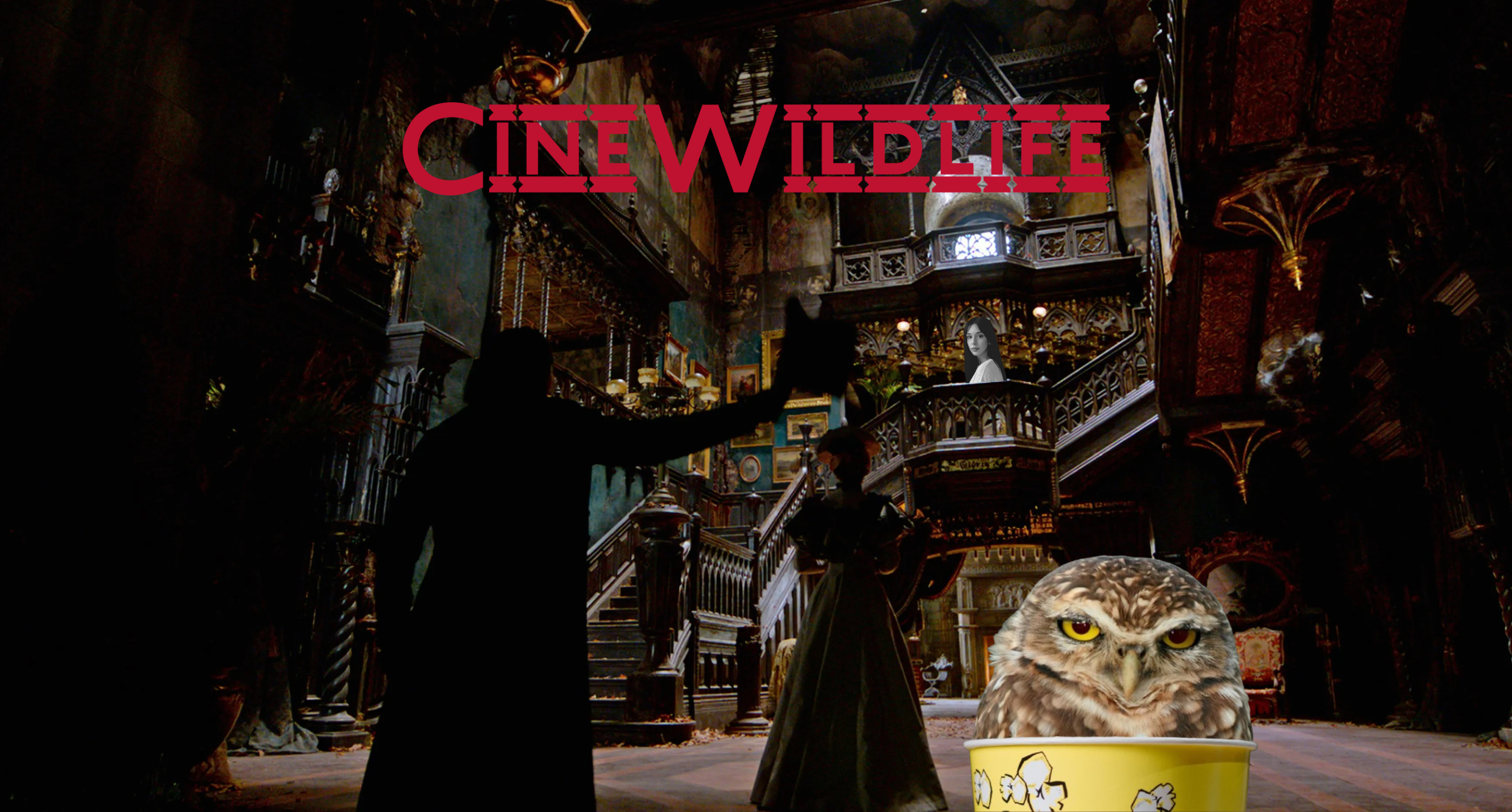 Cine Wildlife