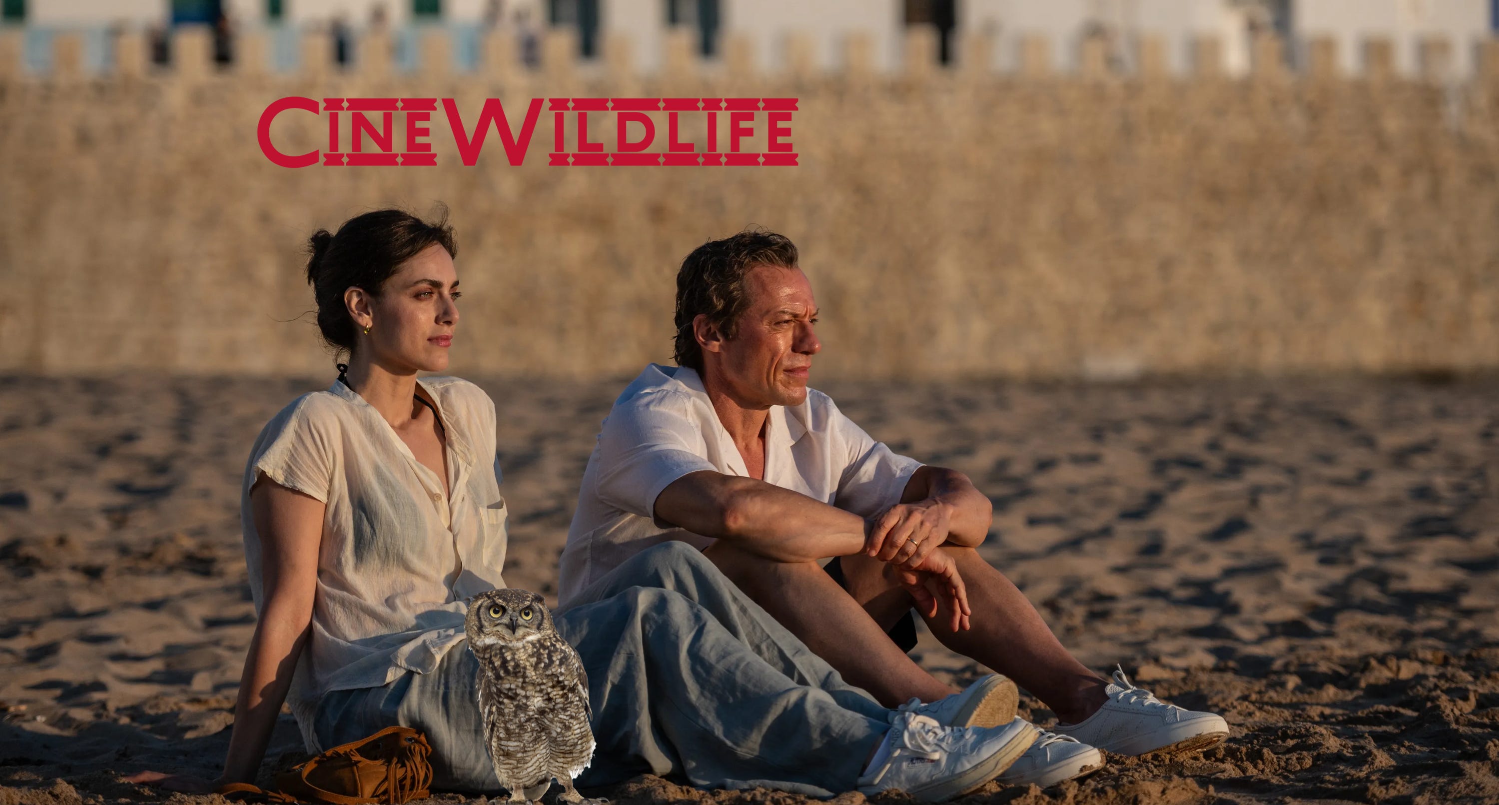 Cine Wildlife: Il peso del silenzio – Le cose non dette di Muccino episode artwork