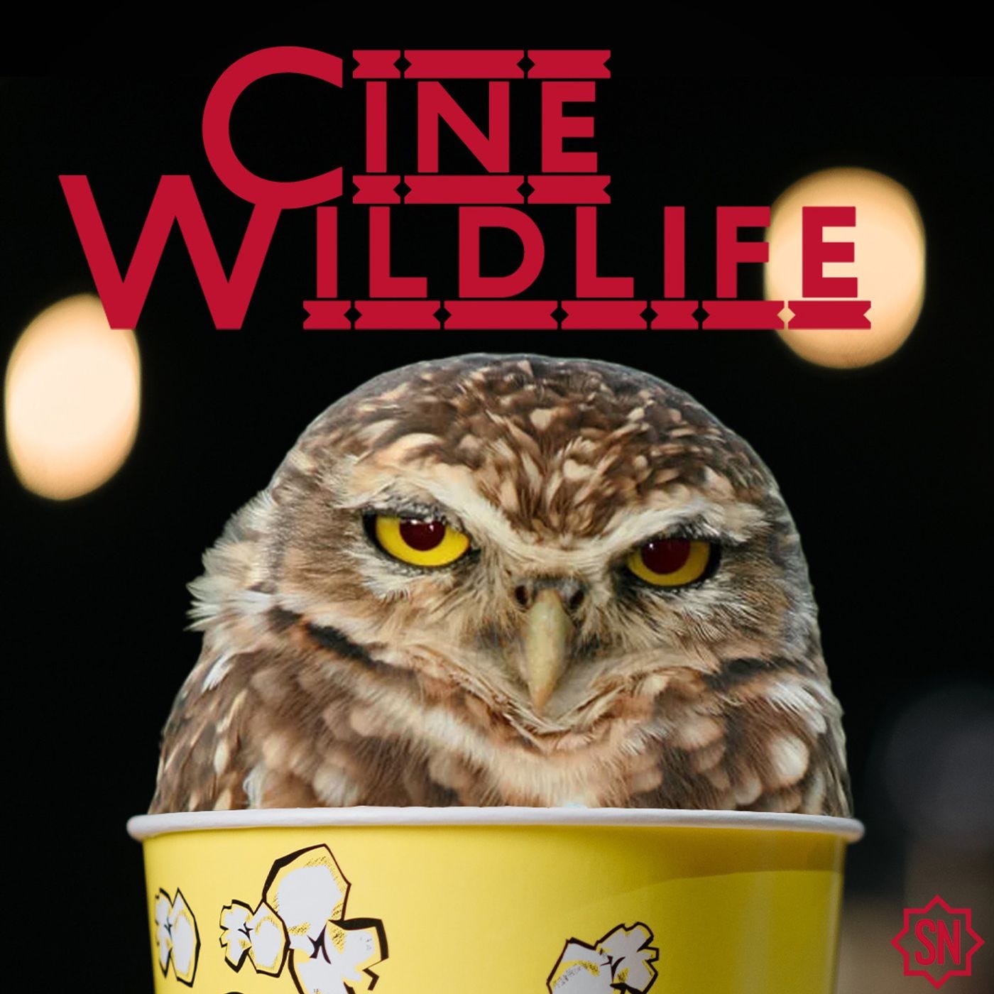 S.Remo Widlife - Musichette accussì sarà pe' semp sì episode artwork