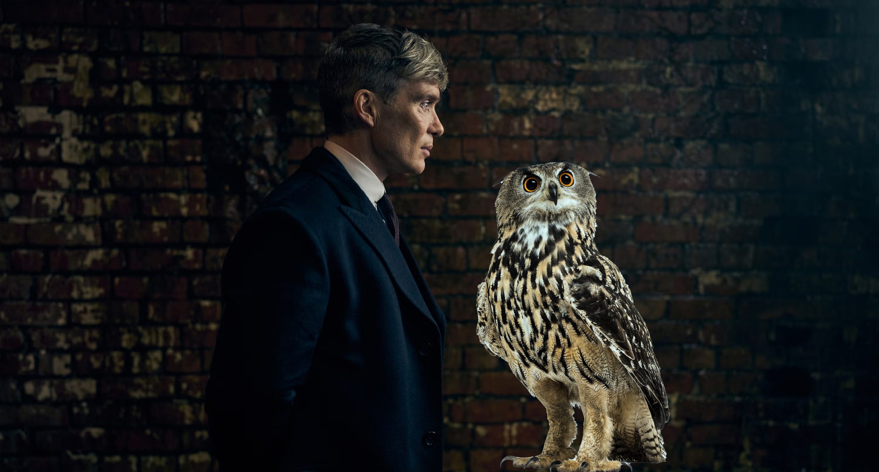 Peaky Blinders - The Immortal Man: sogno o son desto? episode artwork