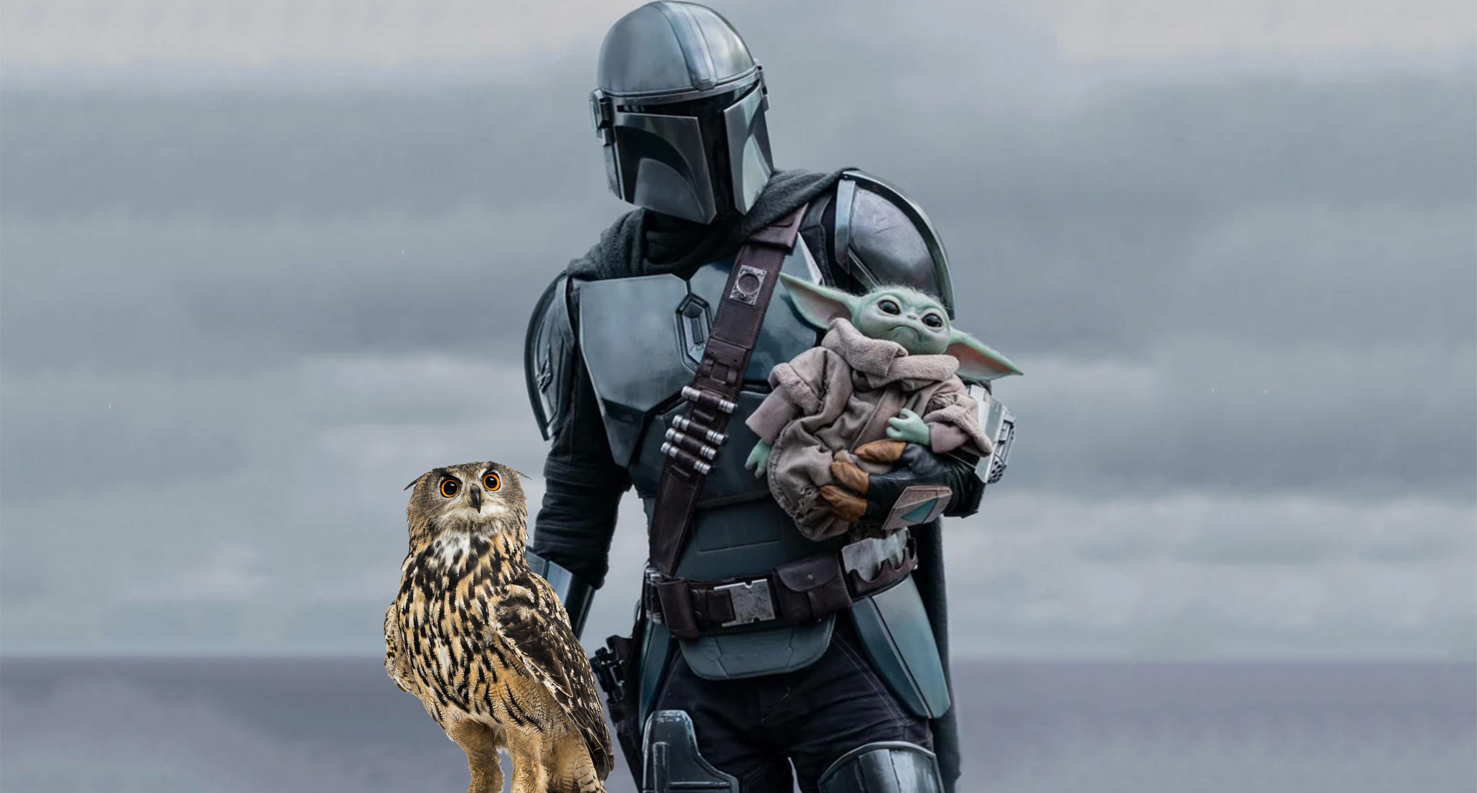 Cine Wildlife ft. Alessio Zuccari - The Mandalorian & Grogu: sa solo cosa non è episode artwork