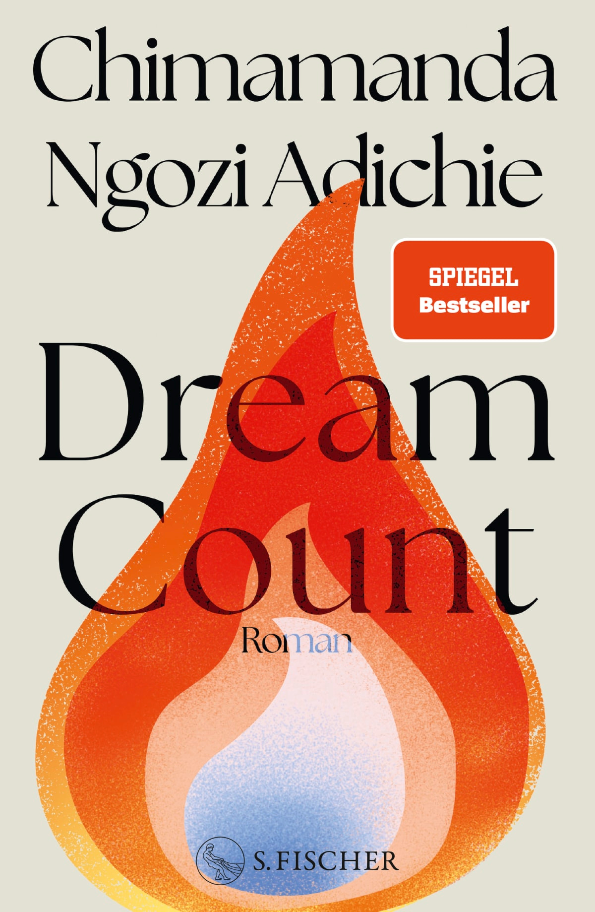 Die Diskussion: Hein, Adichie