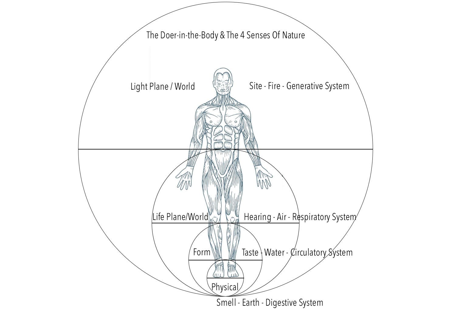 The Anthropocentric Universe