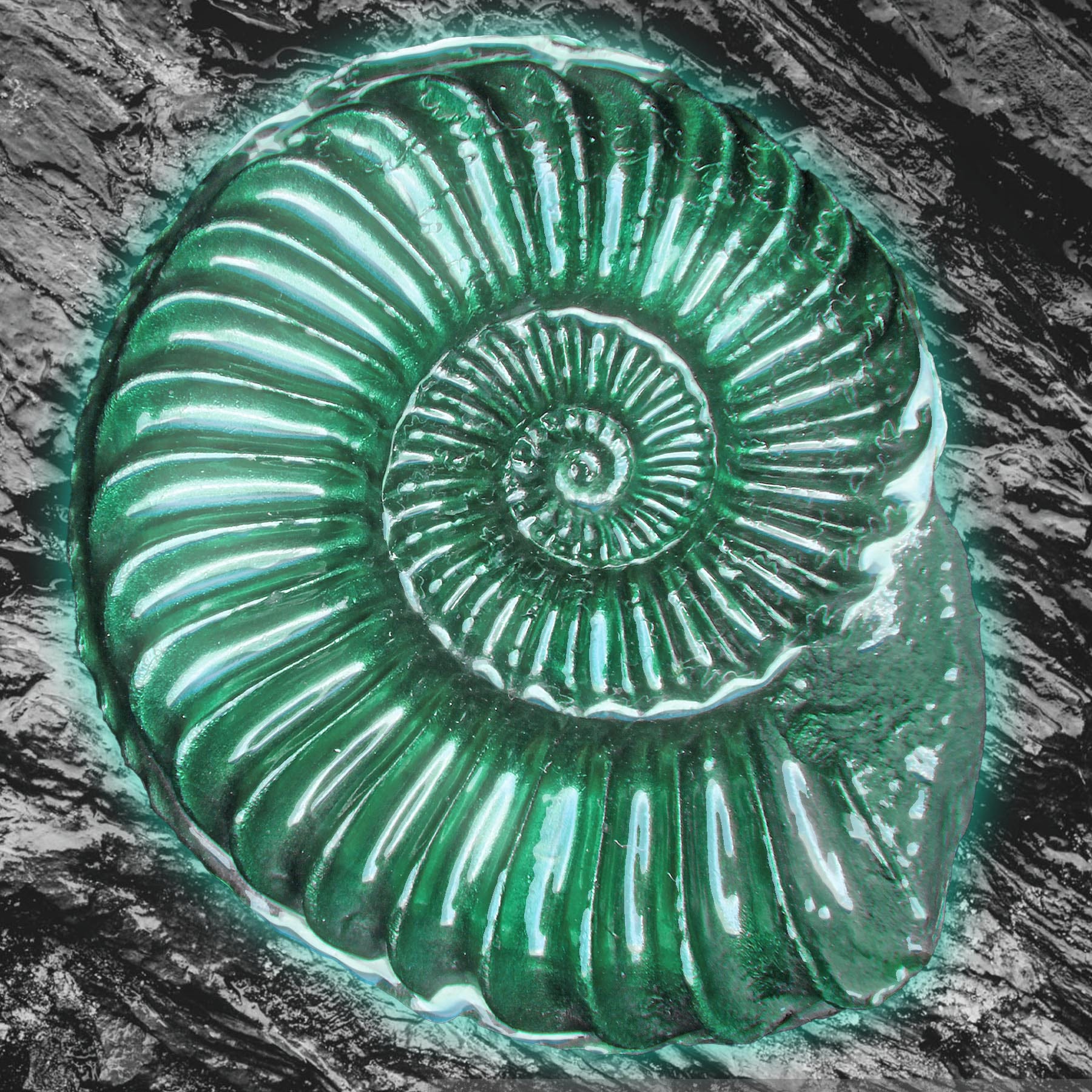 The Path Of Liberation