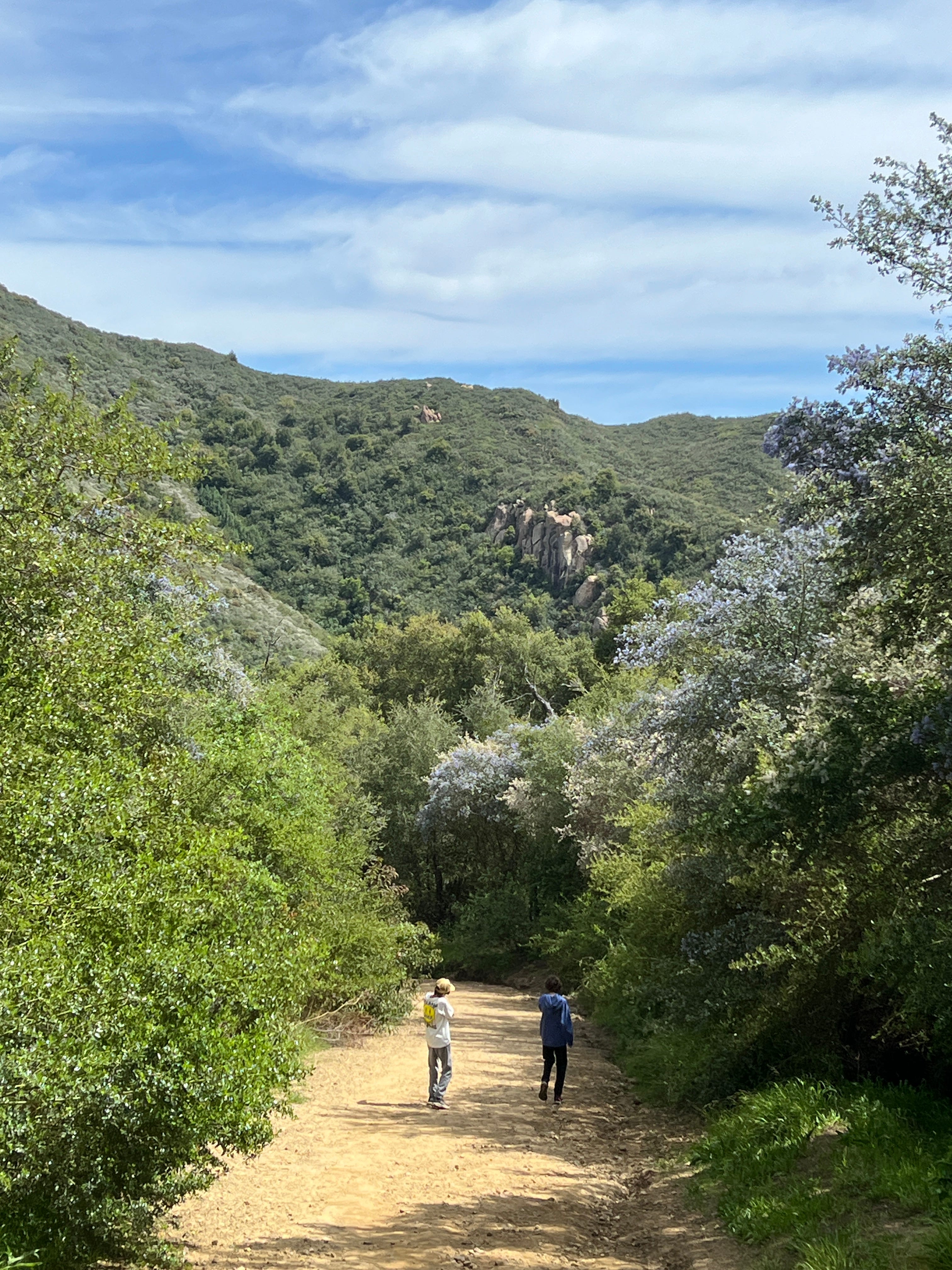 Turn Off, Tune Out, Drop In