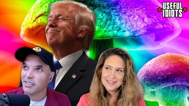 Useful Idiots with Katie Halper and Aaron Maté