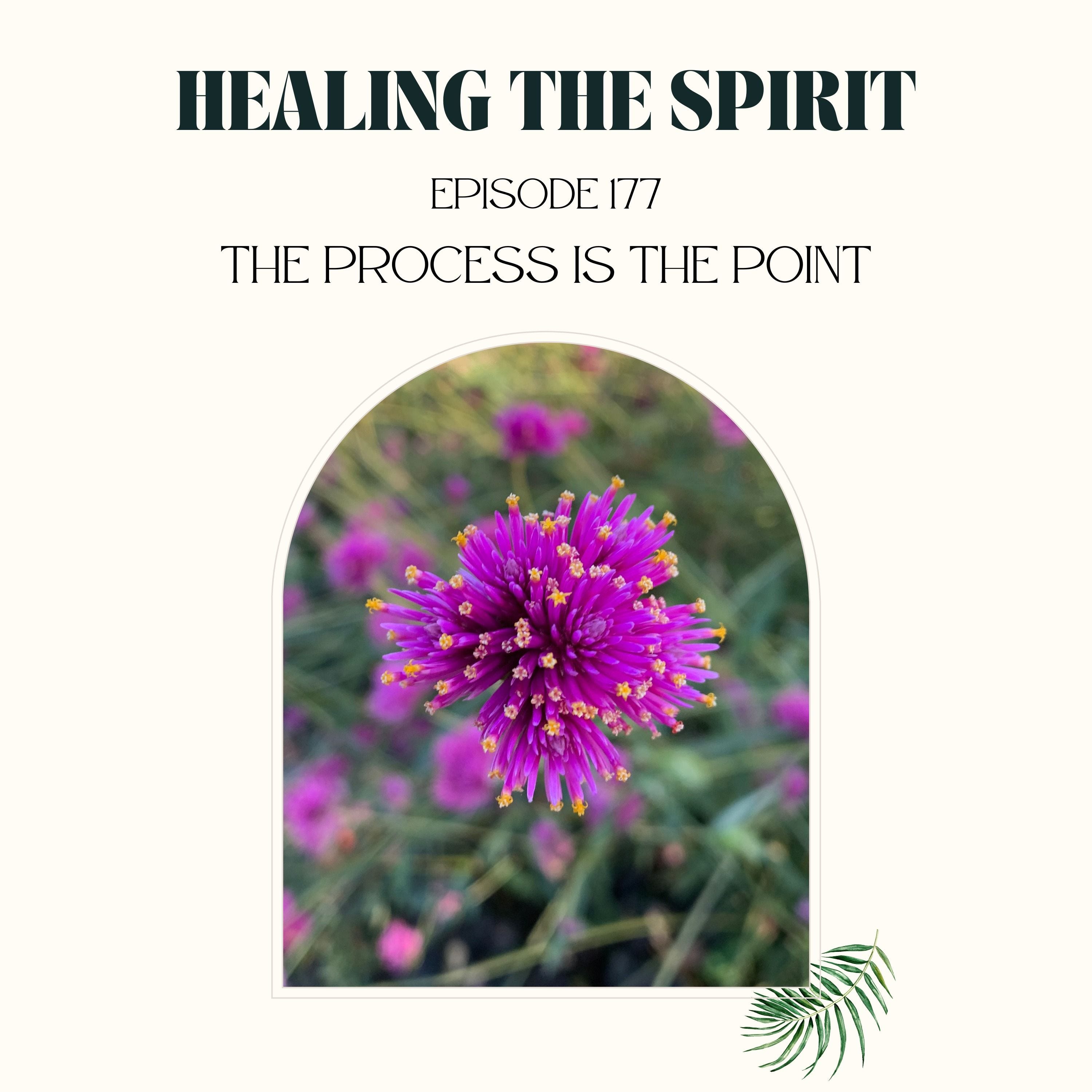 177. The Process is The Point episode artwork