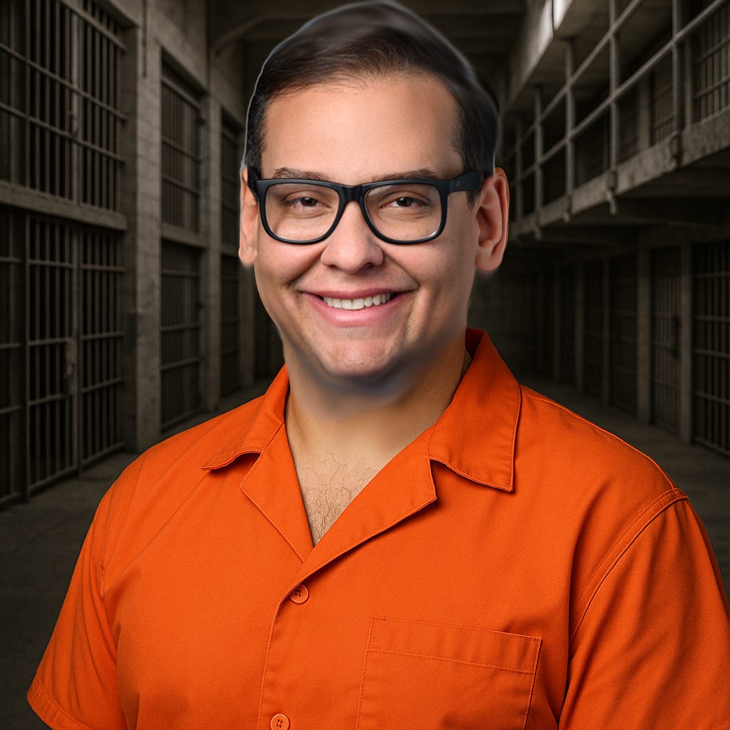 The Rise and Fall of George Santos episode artwork