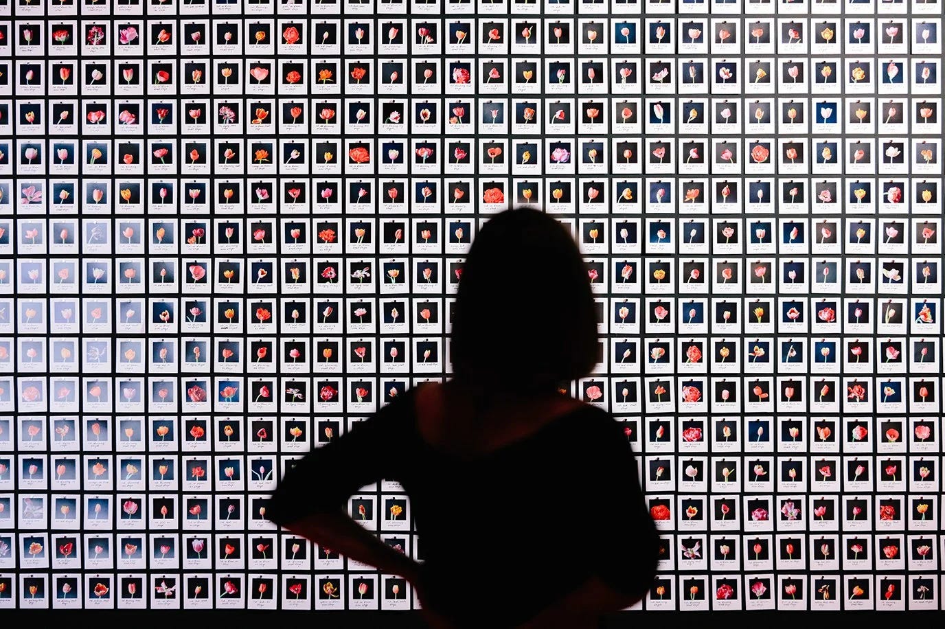 #897 | Paris Photo 2025 #9 | Nagel Draxler Gallery x Anna Ridler 