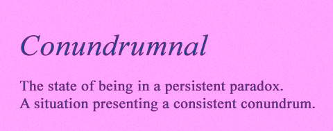 A New Word to Describe a Writer's Life