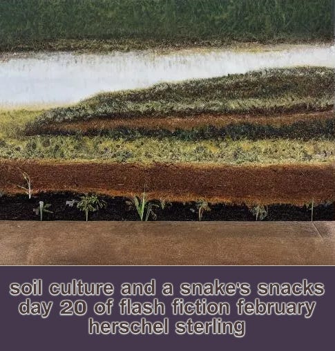 Soil Culture and a Snake's Snacks
