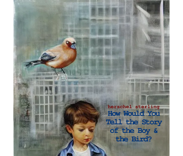 How Would You Tell the Story of the Boy & the Bird?