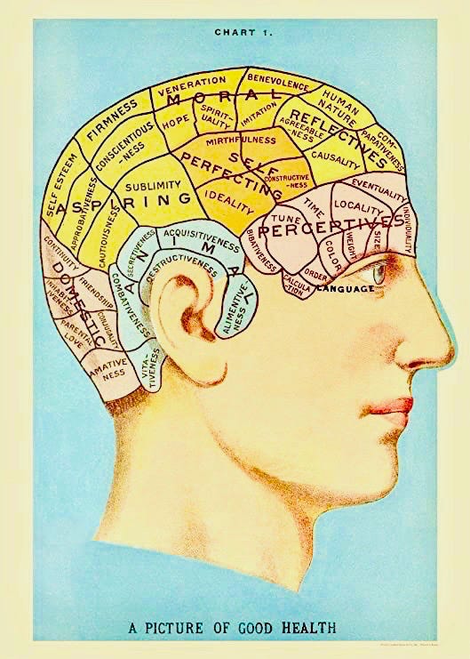 Your Intelligence Test episode artwork