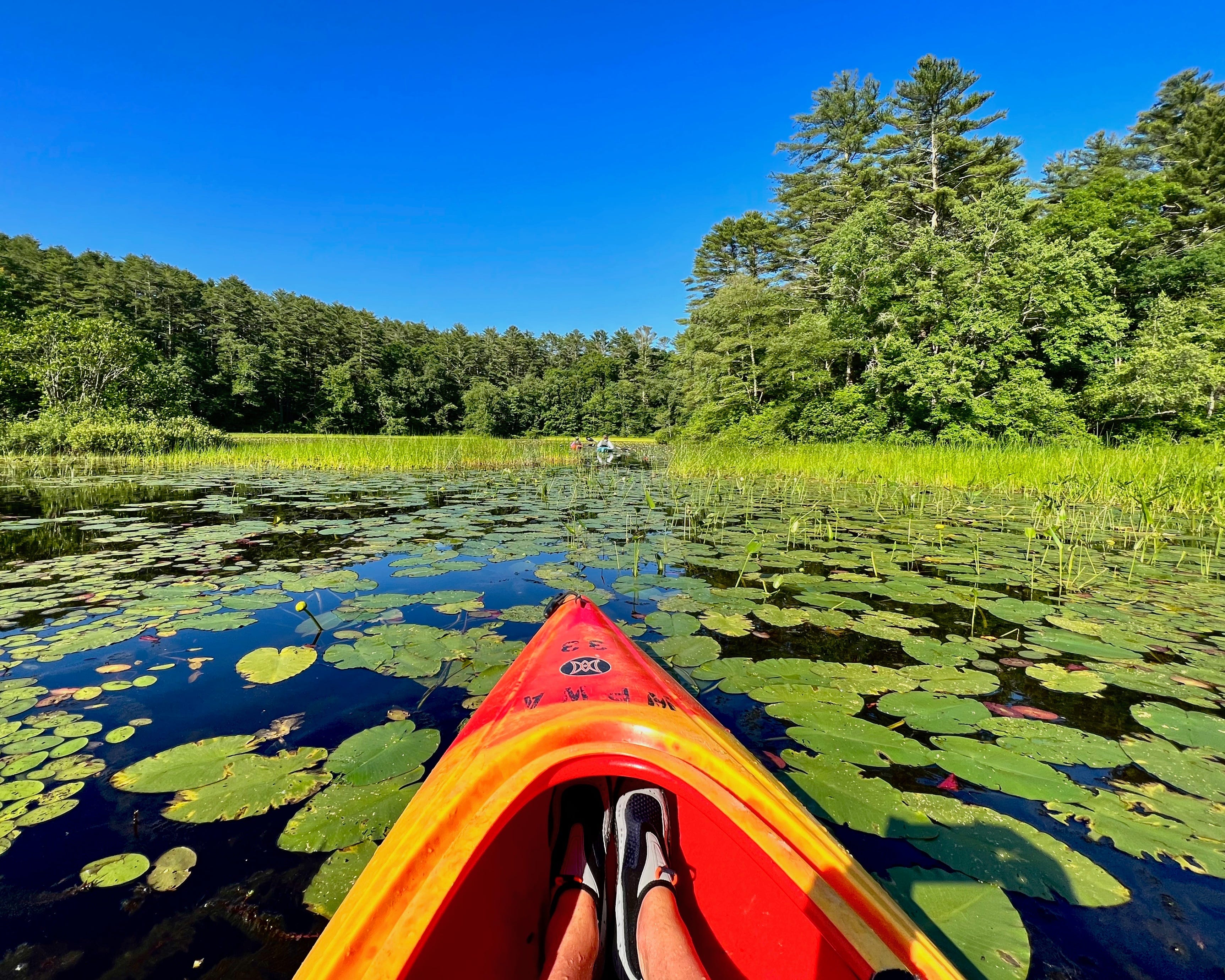 Paddling into Summer episode artwork