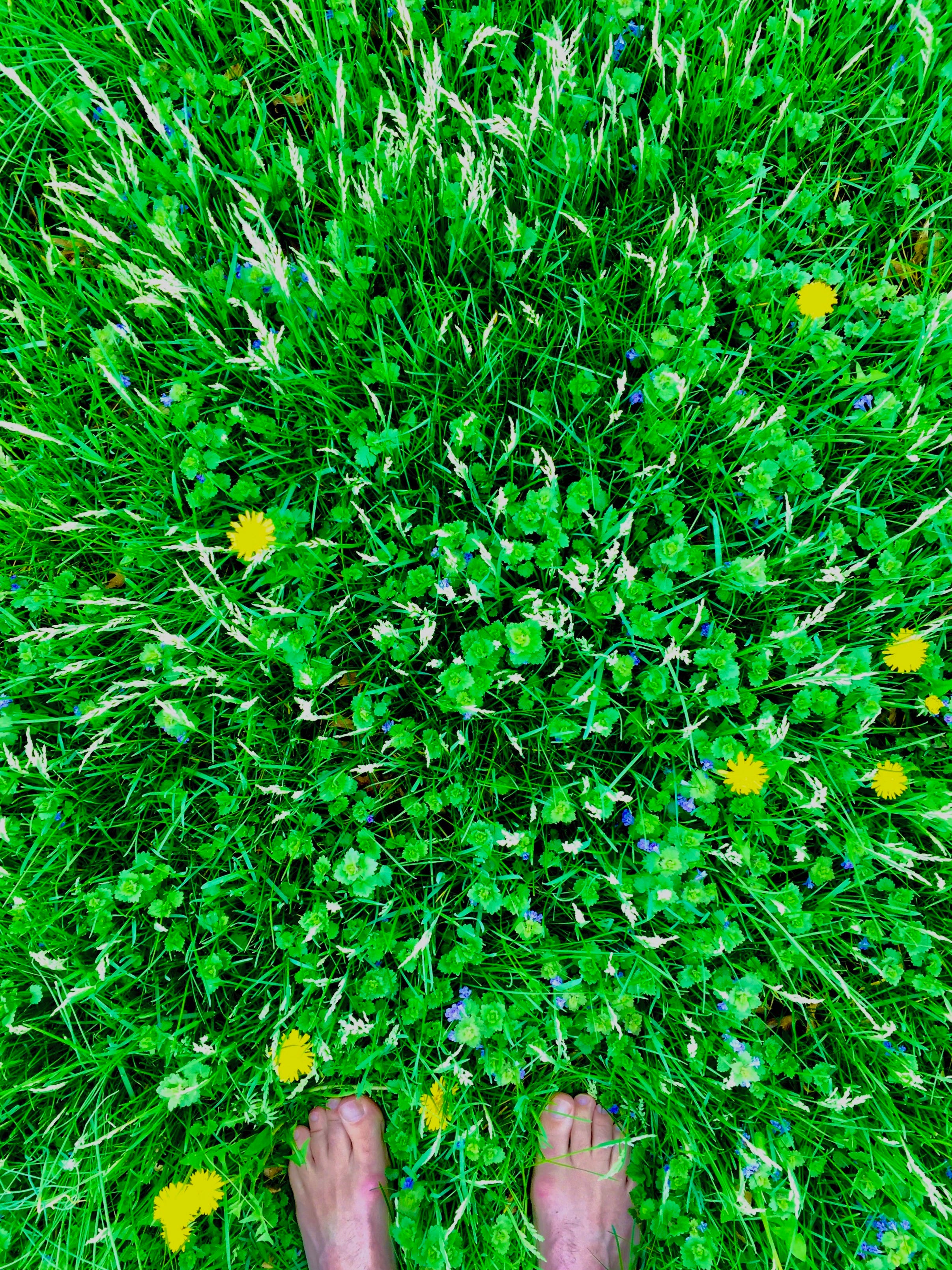 Feet in the Grass episode artwork