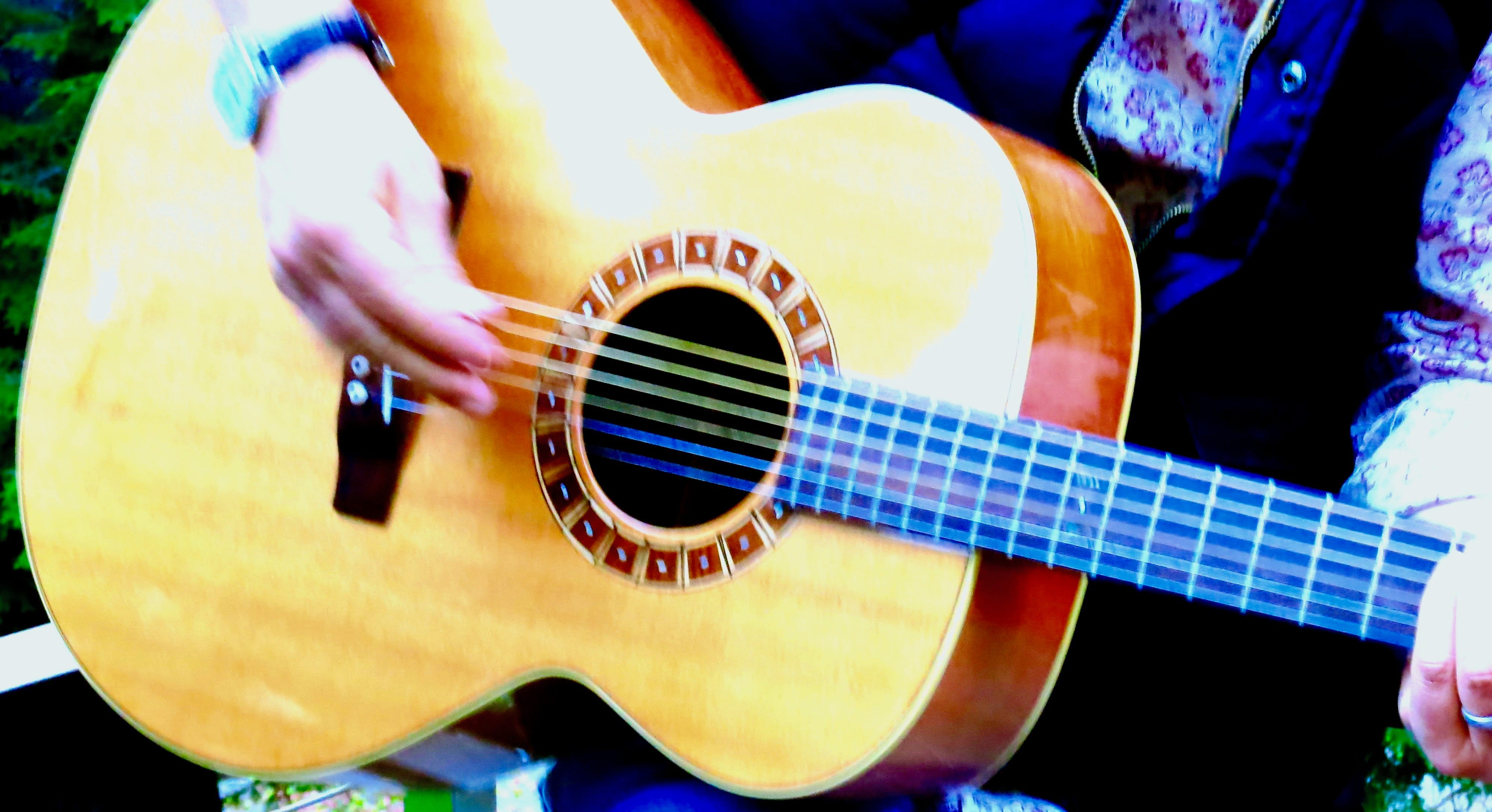 The Young Man with the Guitar in the Woods episode artwork