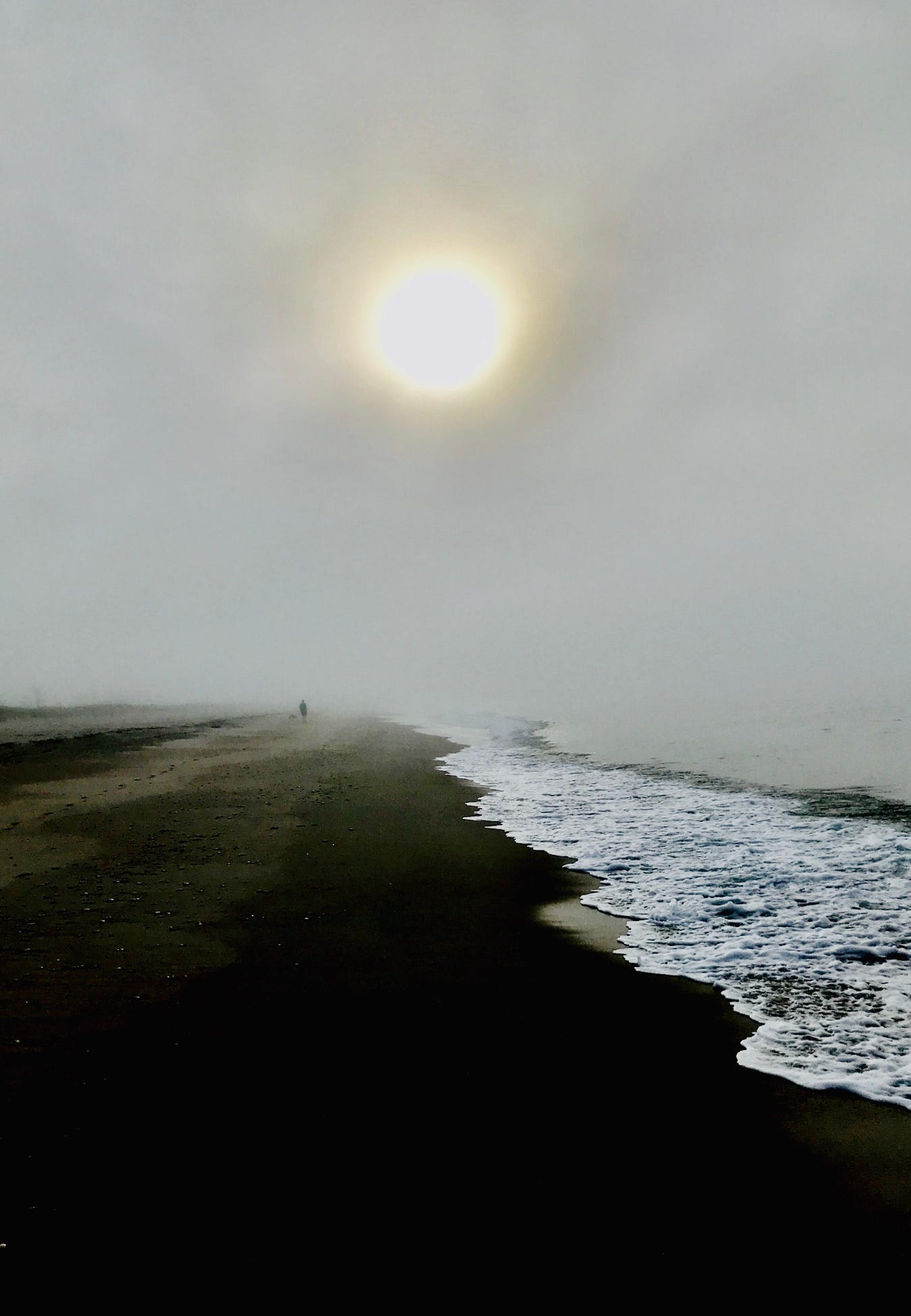 Fog Pours In episode artwork