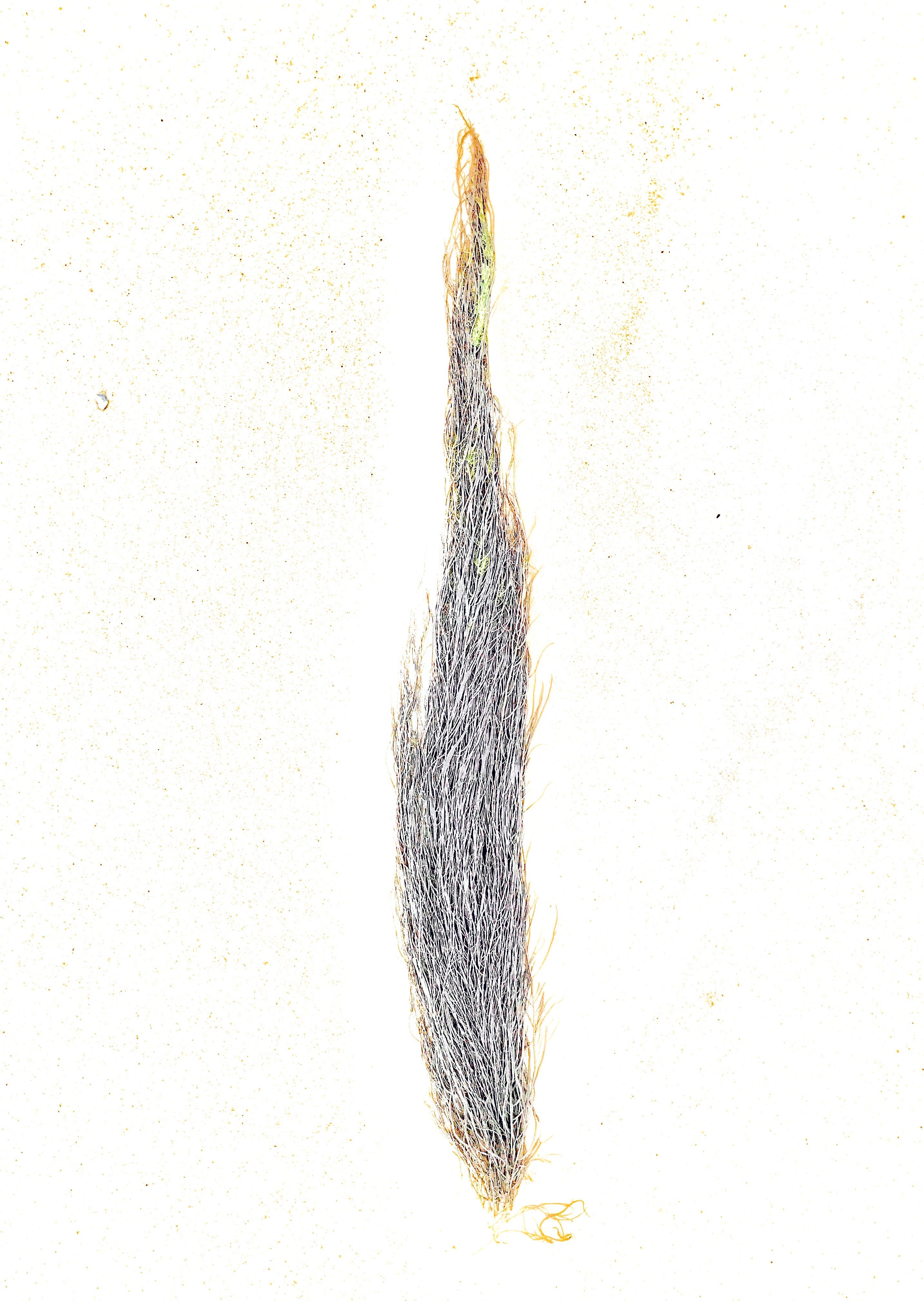 A Filament episode artwork