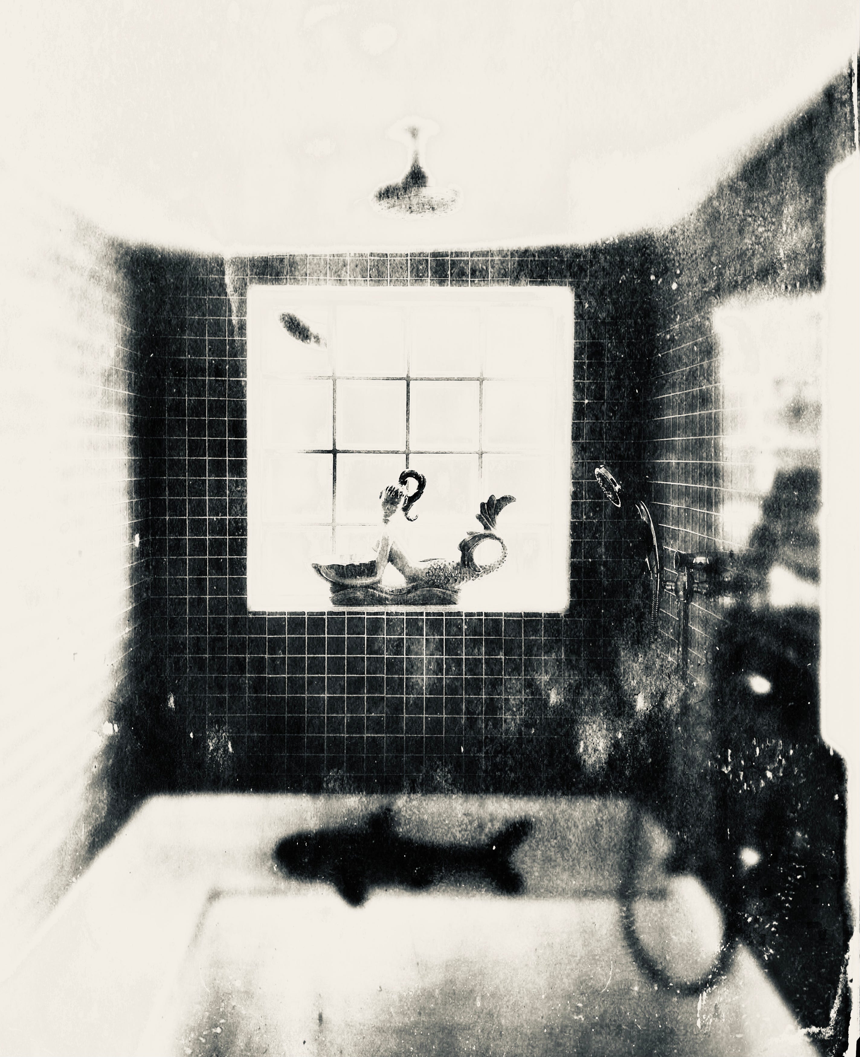The Solitude of the Shower episode artwork