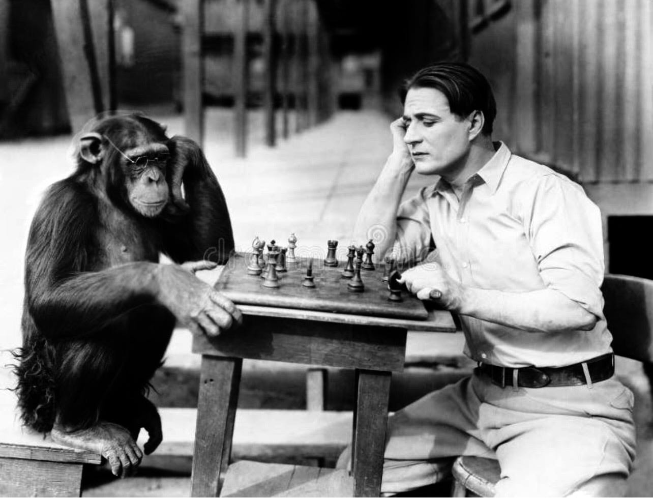 What Separates the Men from the Monkeys? * episode artwork