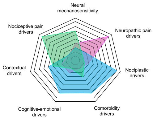 The Sciatica Podcast
