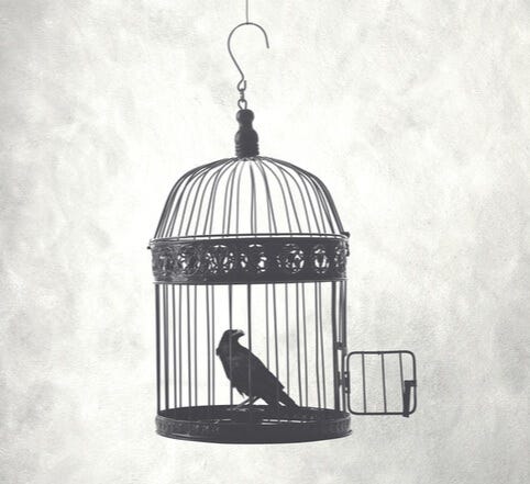 Through A Glass Darkly Podcast