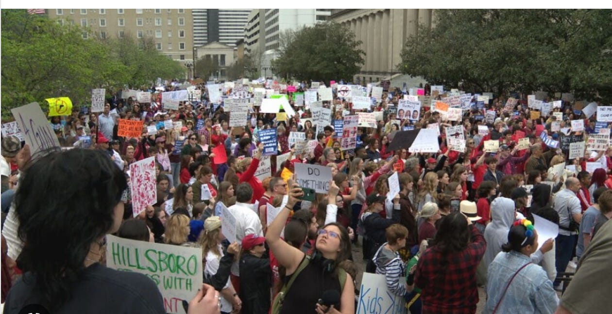 MAGA man: Tennessee gun reform protest was an insurrection episode artwork