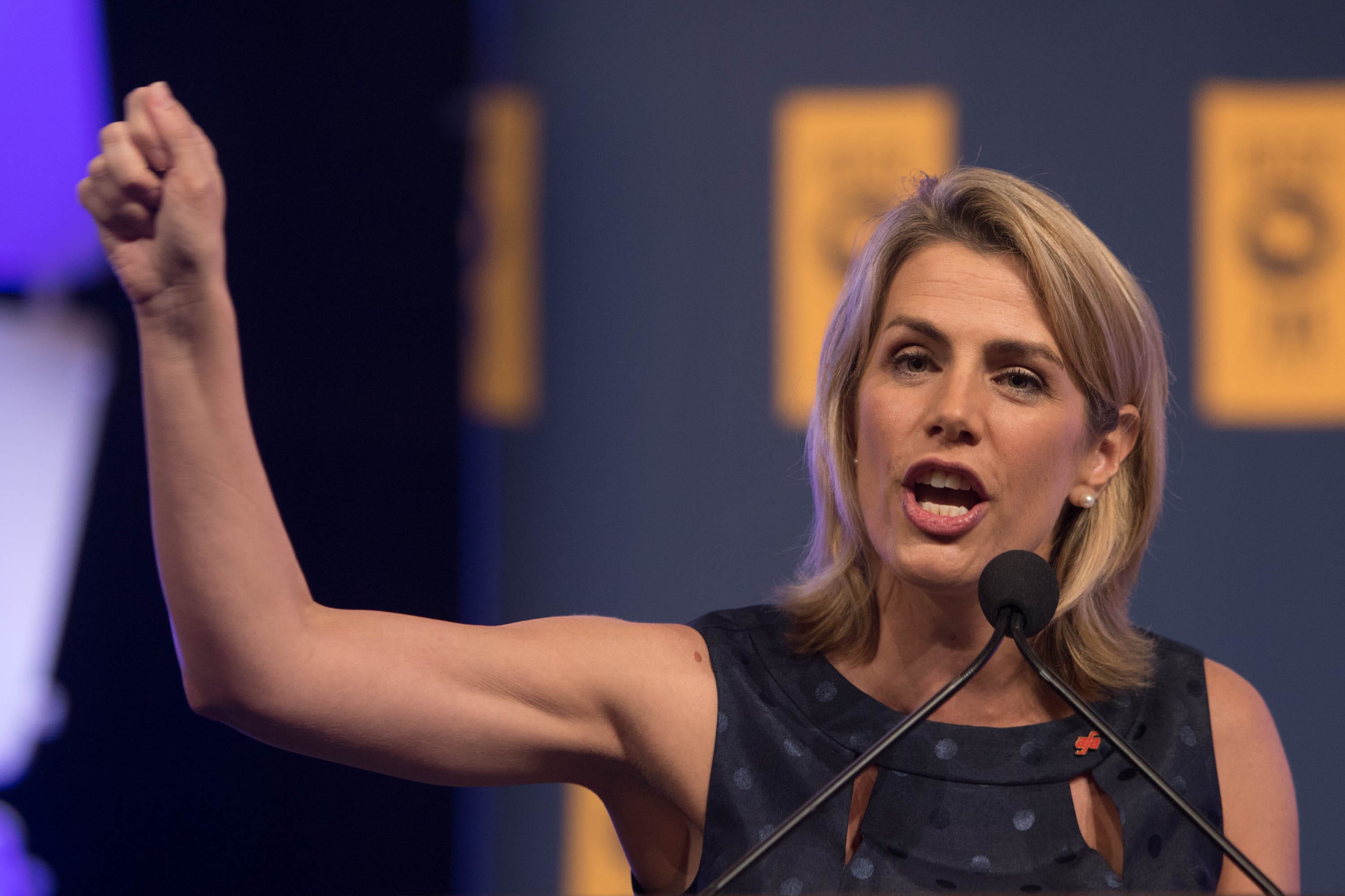 The Signorile Report