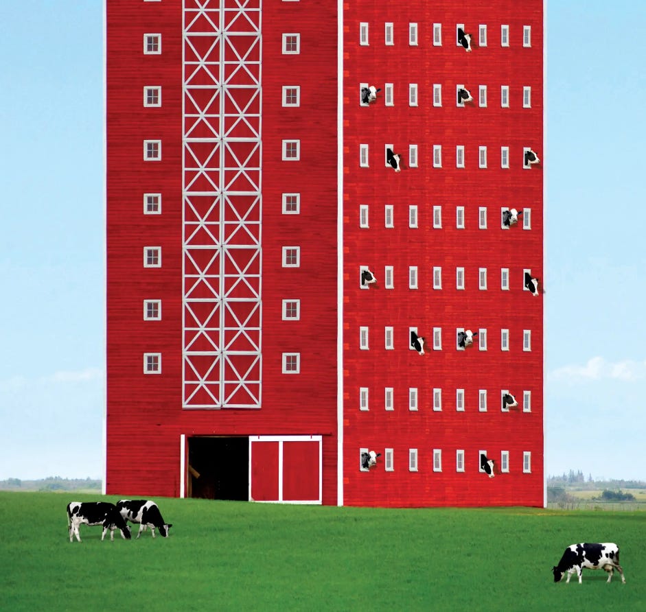 Contra Grunwald on Industrial Farming episode artwork